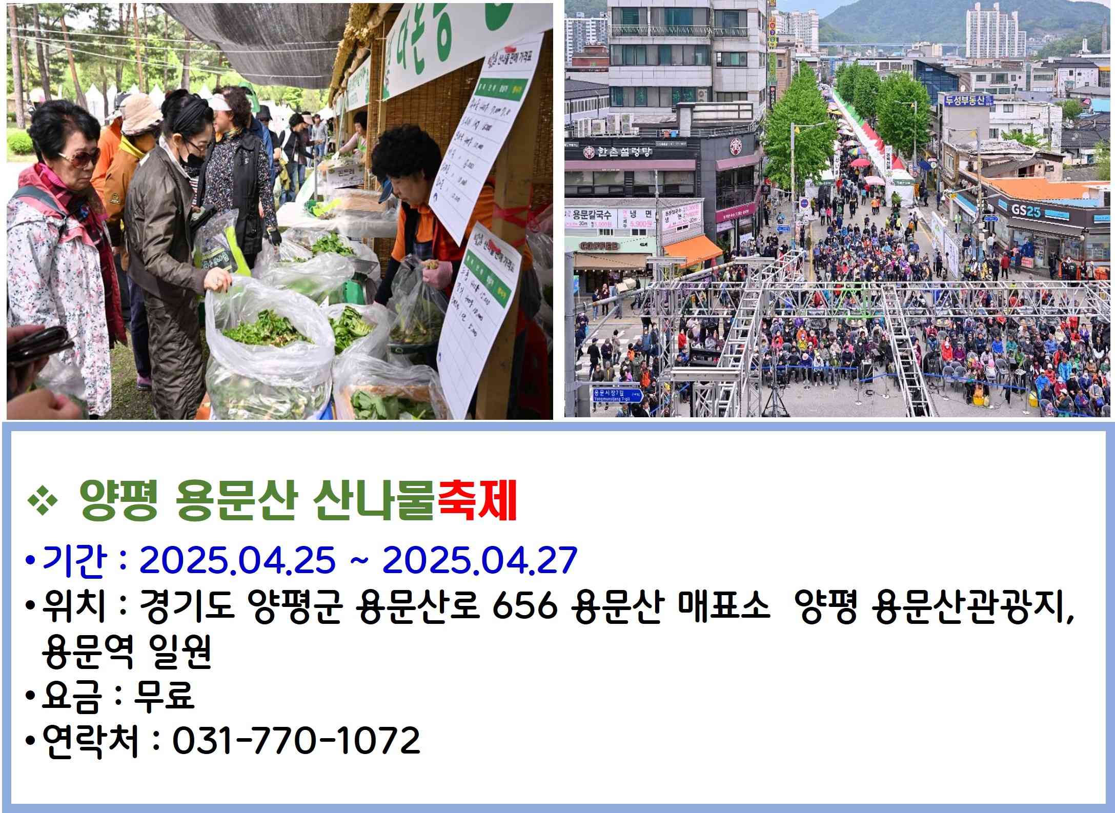 양평 용문산 산나물축제