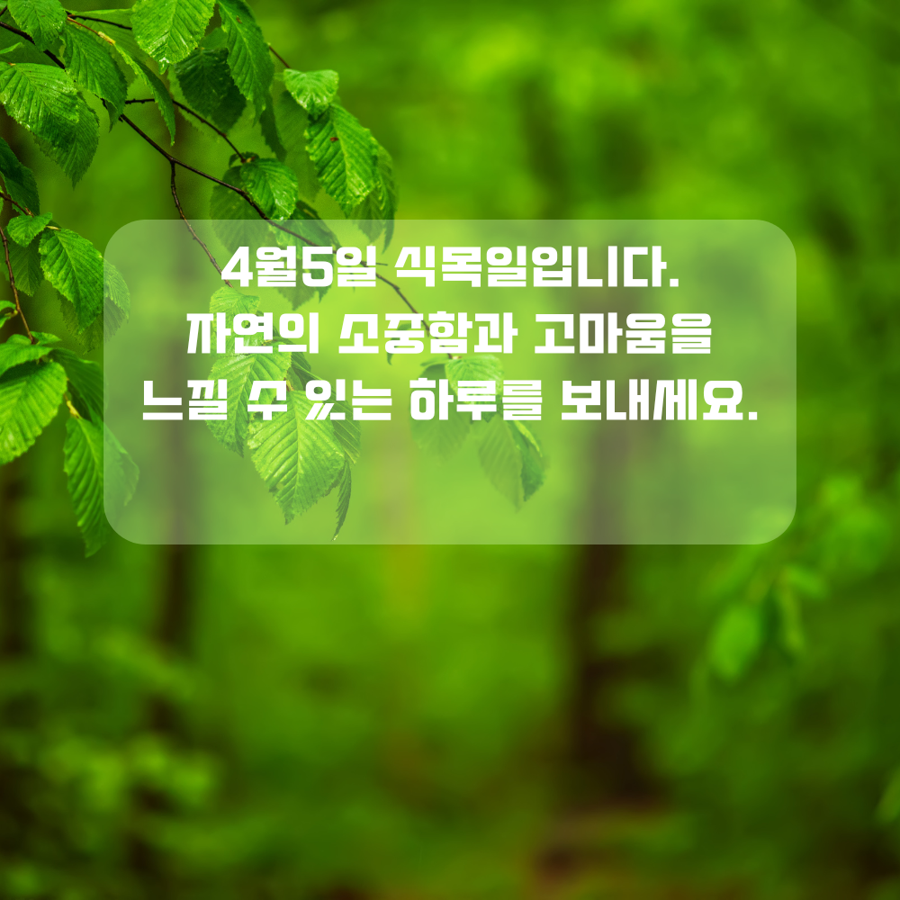 4월 인사말 식목일 인사글귀 좋은 글 문구 나무 숲 사진 이미지 모음집
