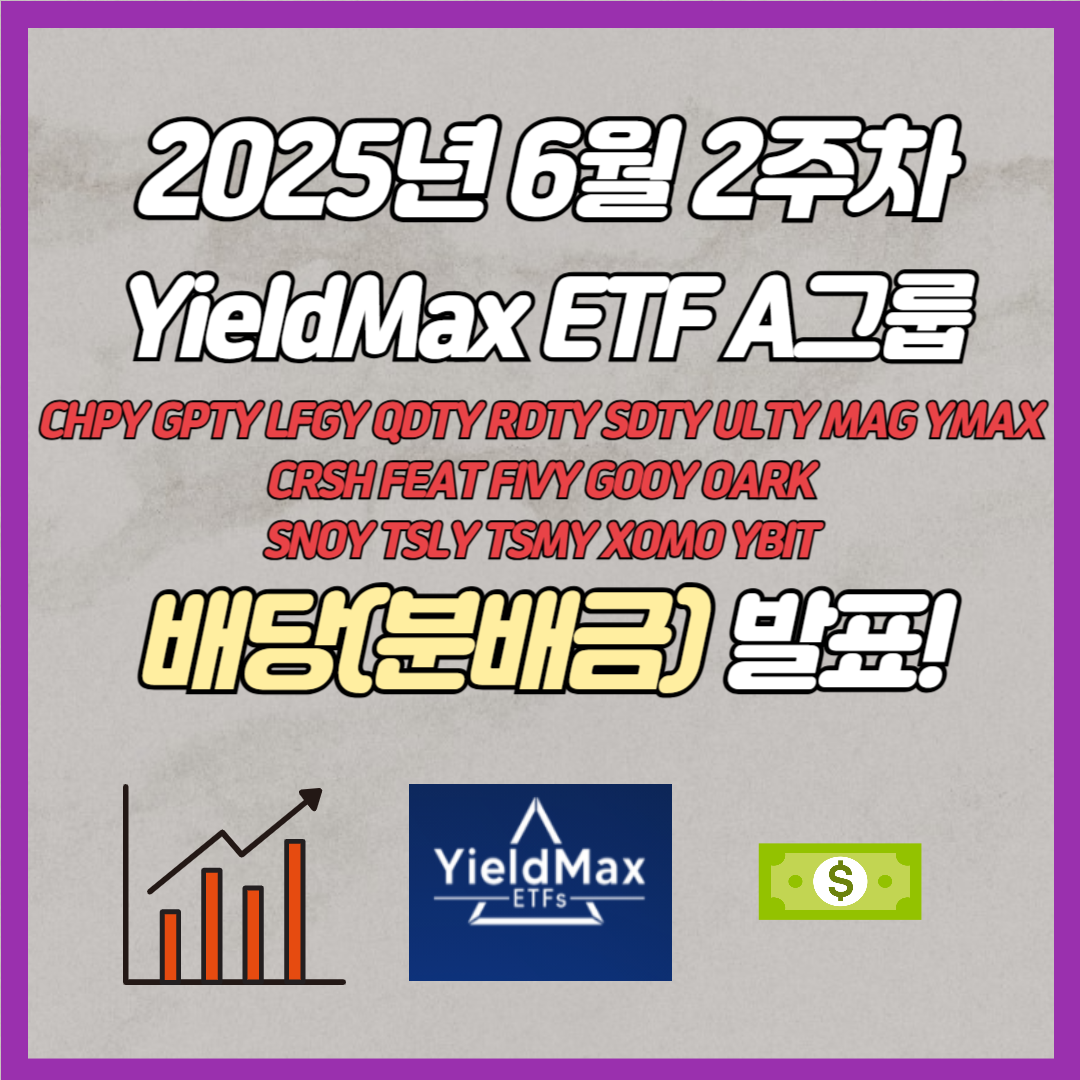 6월 2주차 일드맥스 A그룹 배당