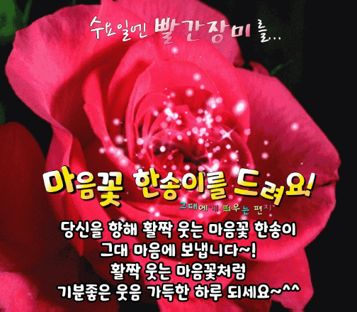 수요일 인사말 6