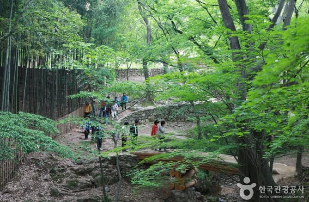 담양 가볼만한곳 베스트 10