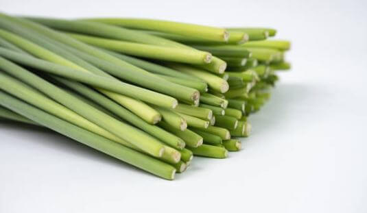 마늘쫑효능, 관리법, 부작용