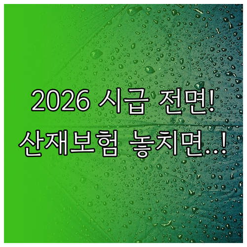 고용 형태 무관 전면 적용 2026 ..