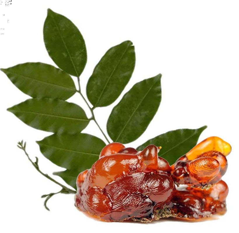 페루발삼 Peru Balsam