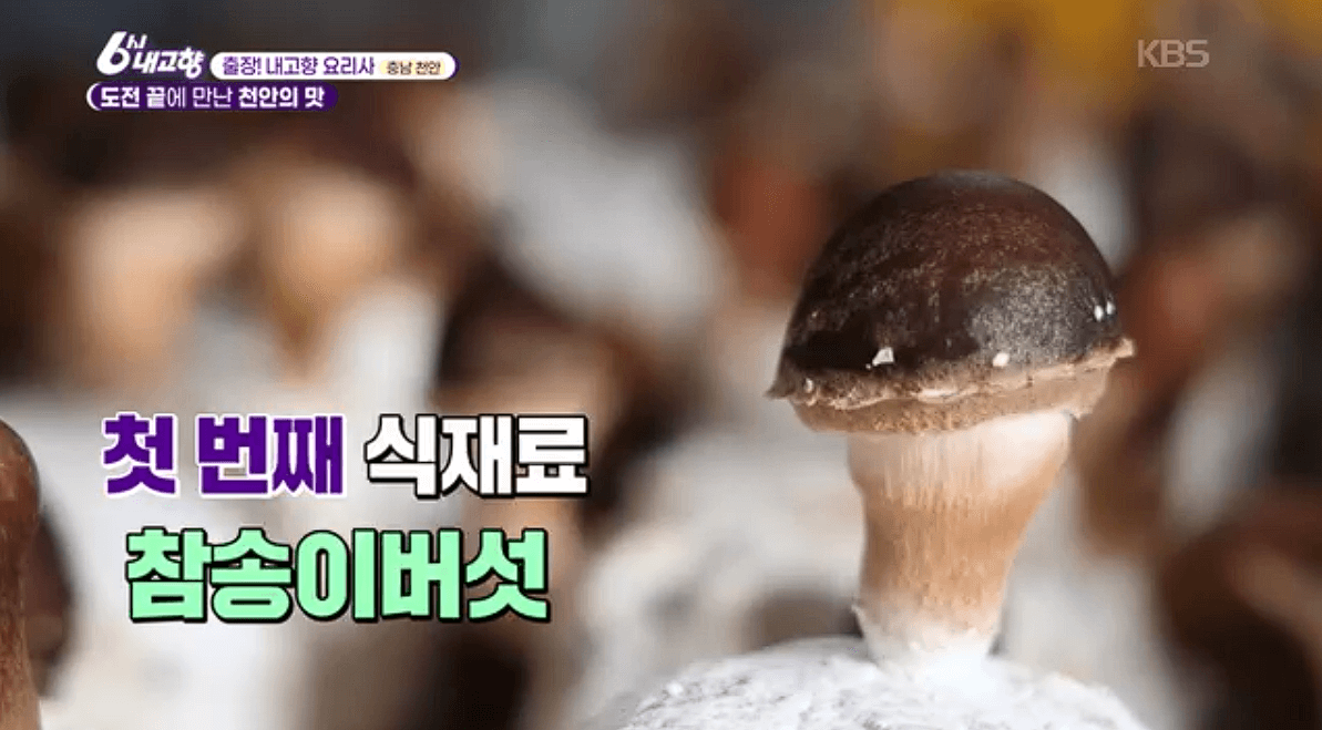 [6시내고향]충남 천안 참송이버섯 아산 딸기 &amp;#39;다울농장&amp;#44; 썬비딸기&amp;#39; 택배 판매 연락처 정보