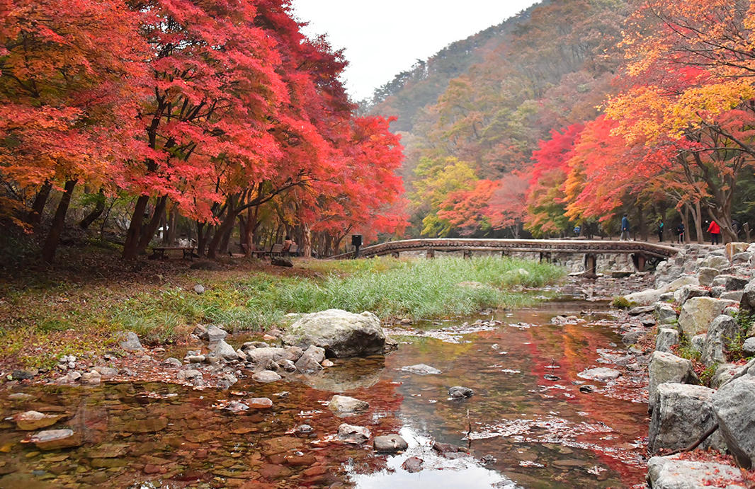 전라도-가을여행지-추천-순창-강천산-단풍-절정시기