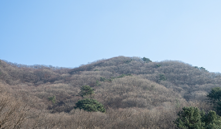 축령산 등산코스