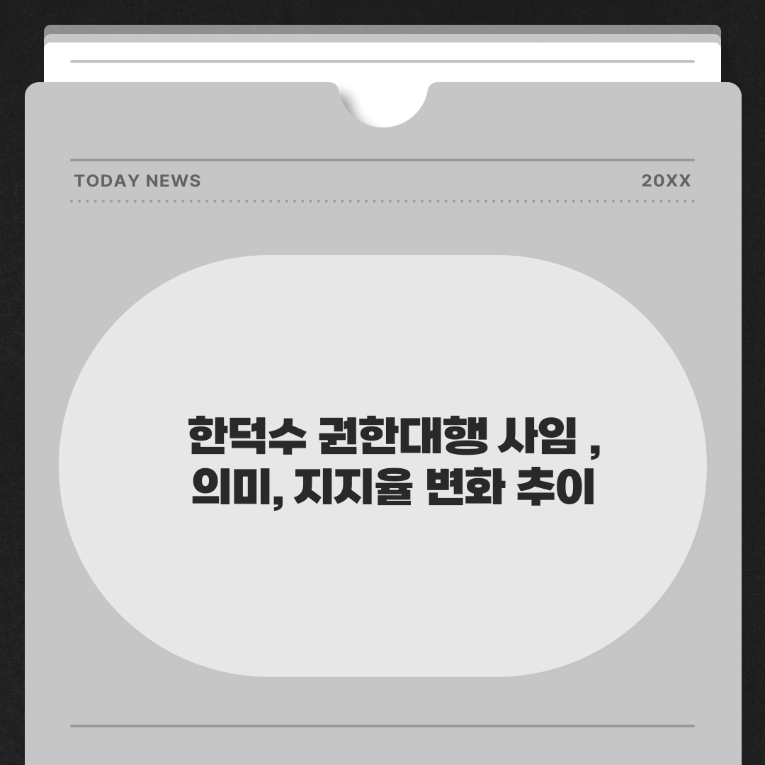 한덕수 권한대행 관련된 이미지