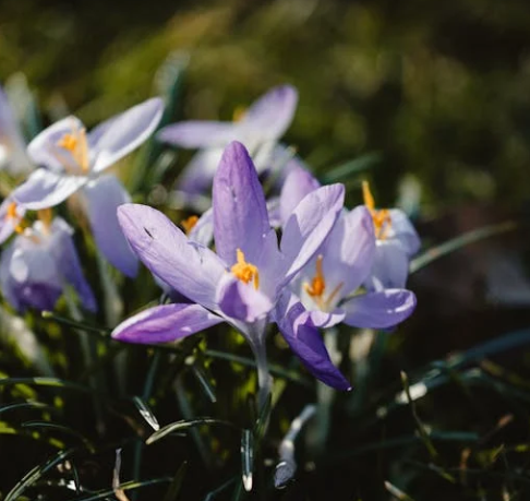 경기도 가볼만한곳 추천