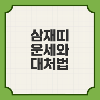 2025년 삼재띠,(토끼, 돼지, 양띠 집중) 2027년도 까지 띠별로 살펴보는 운세와 대처 방안