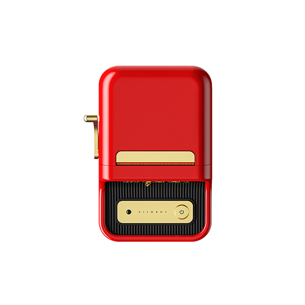 NIIMBOT B21