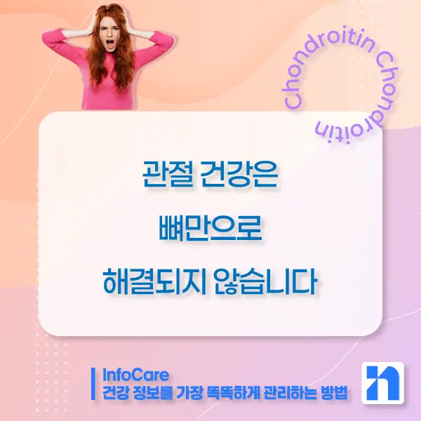 콘드로이친 효능&amp;#44; 복용방법