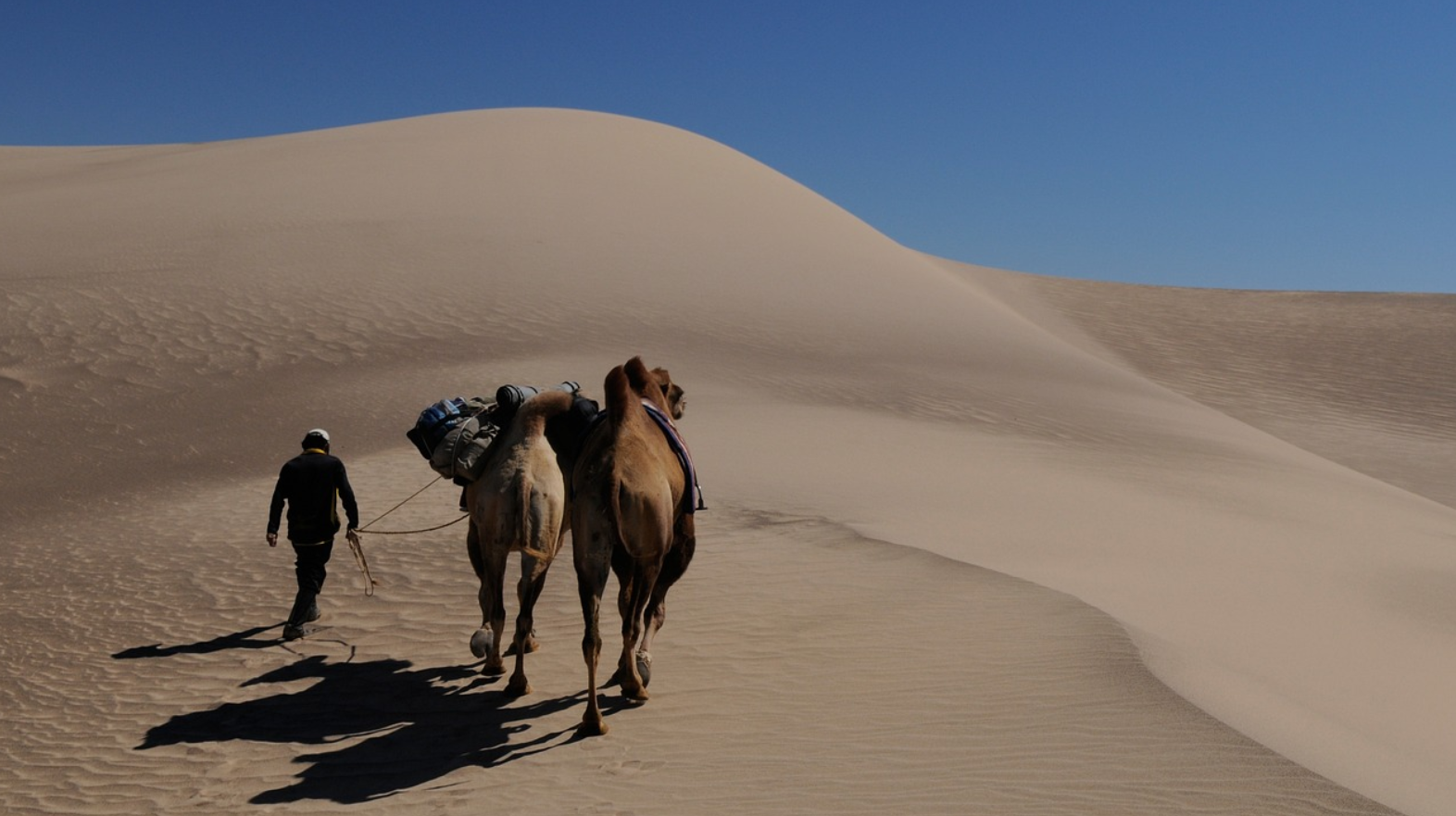 몽골리안 유목민