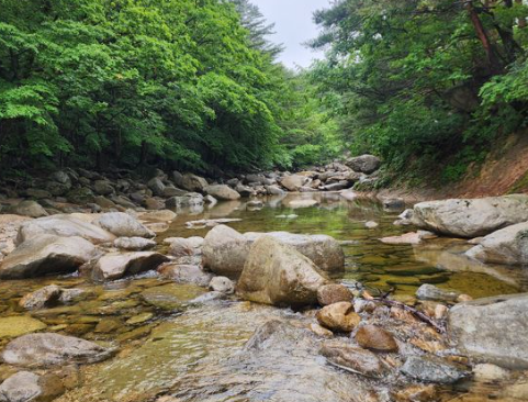 미시령폭포_민박_캠핑느루계곡