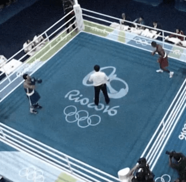 파리올림픽 종목