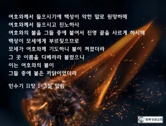 이스라엘 백성 불만 민수기 11장_17