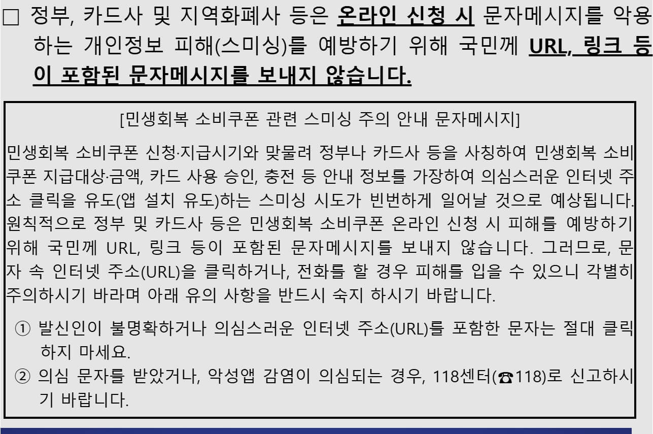2025 민생회복 소비쿠폰