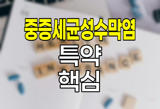 중증세균성수막염 특약의 핵심 요점