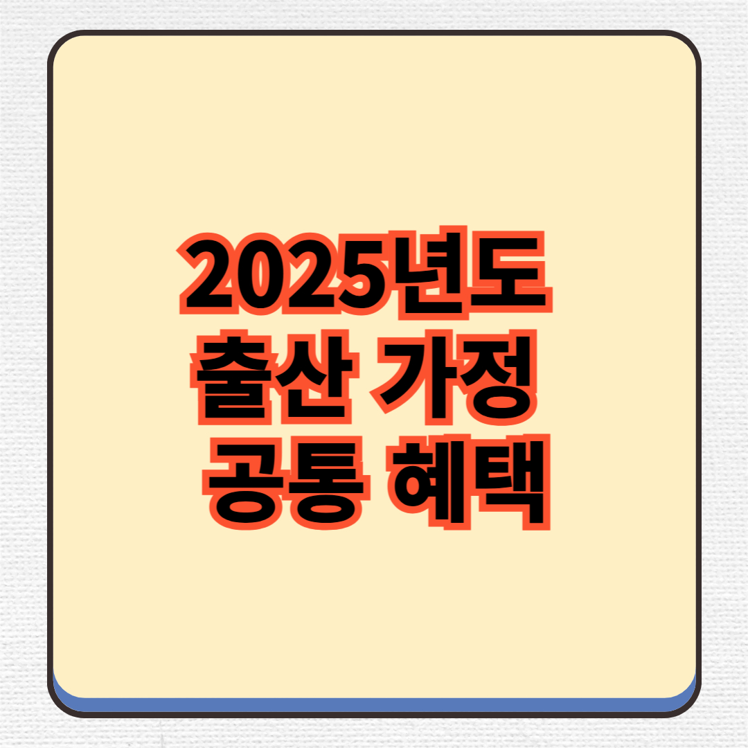2025년 출산 가정 공통 혜택