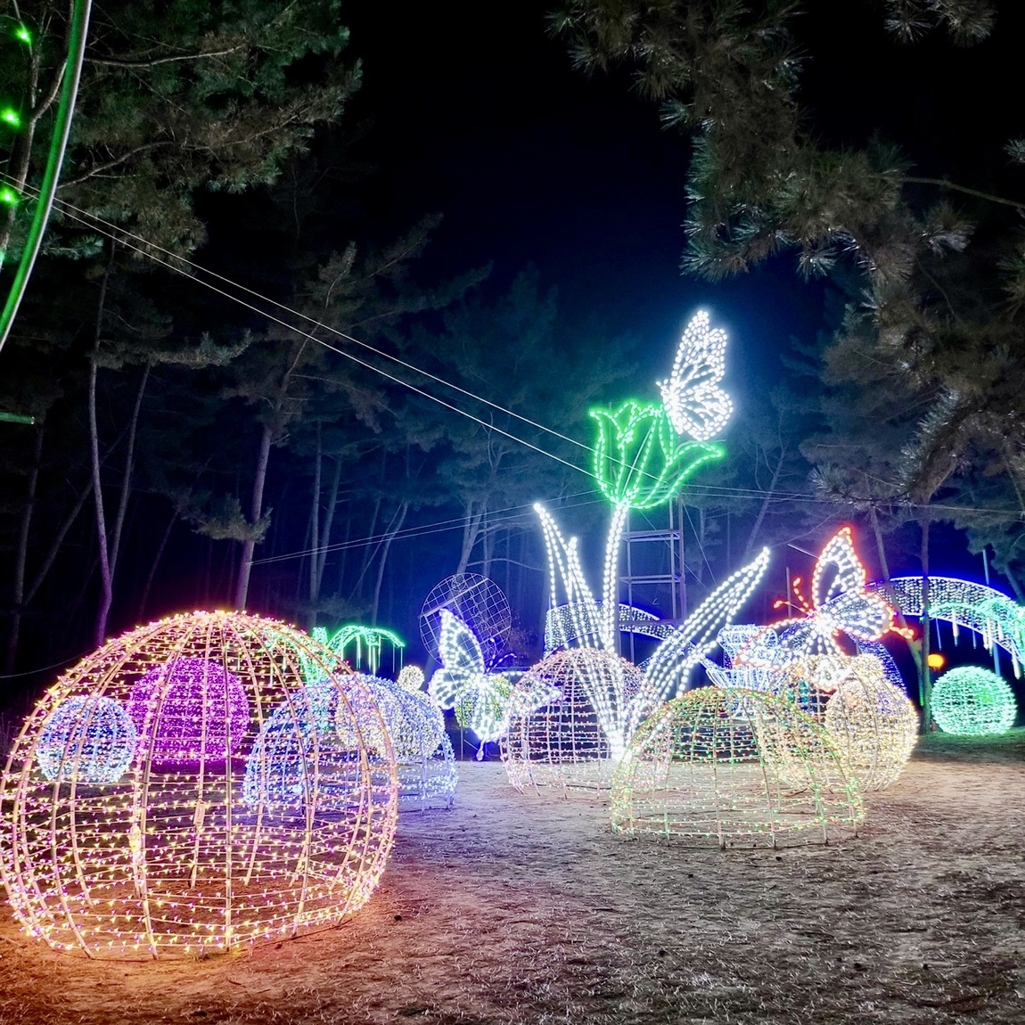 태안 빛축제 맛집 근처숙박 주차 꿀팁 총정리