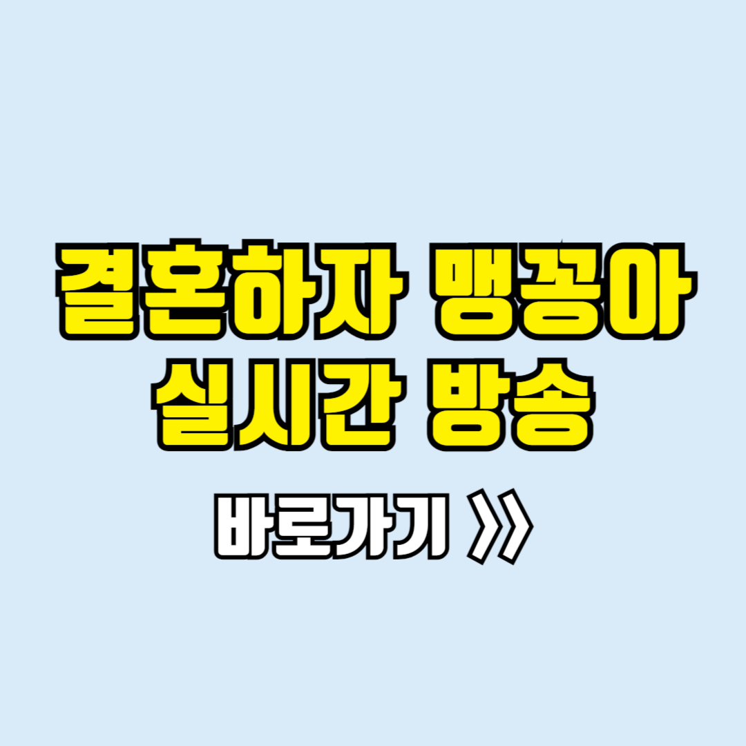 결혼하자 맹꽁아 실시간방송