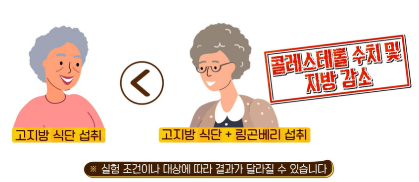 링곤베리 효능