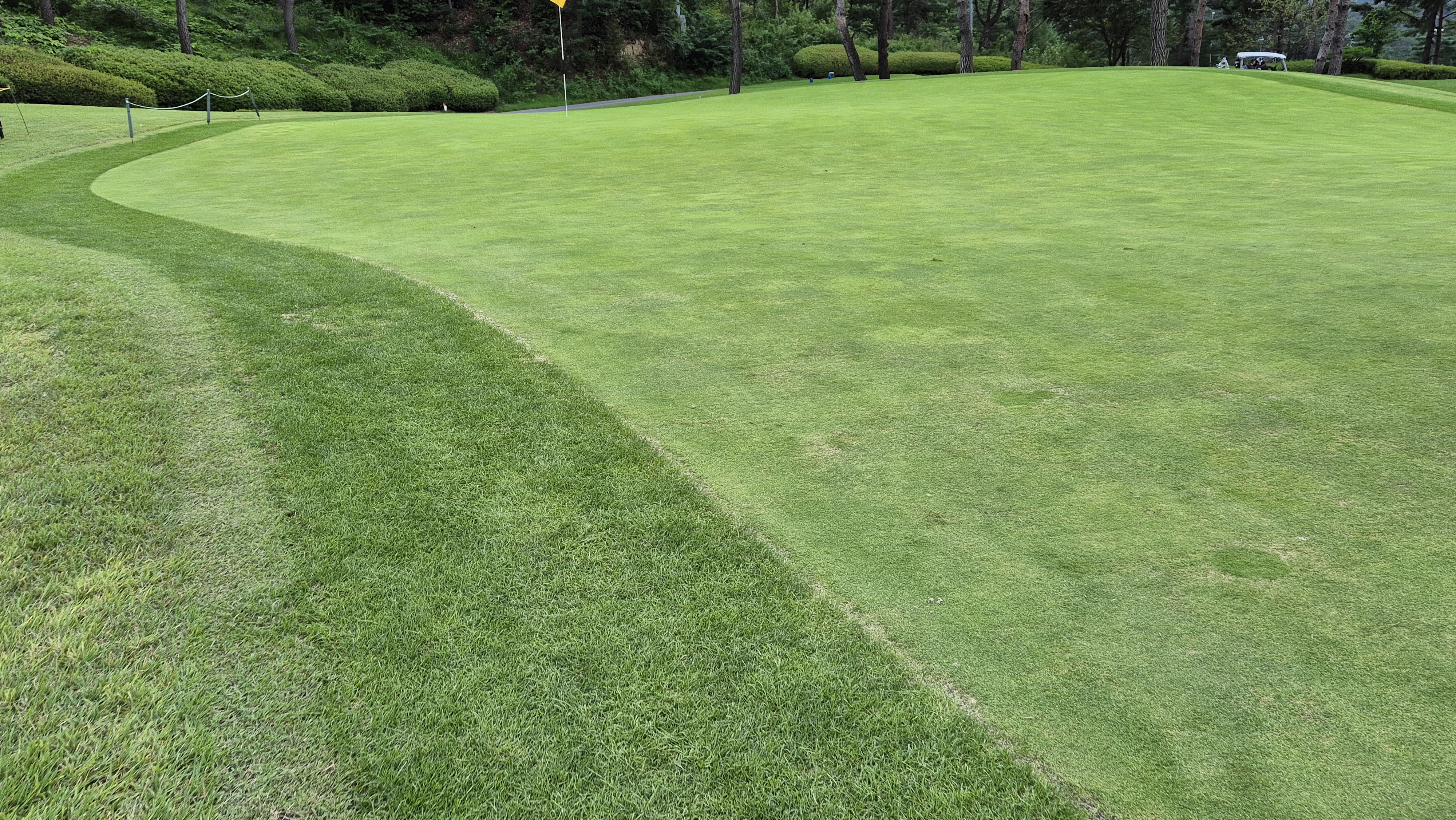 오크힐스cc 그린빠르기 및 난이도