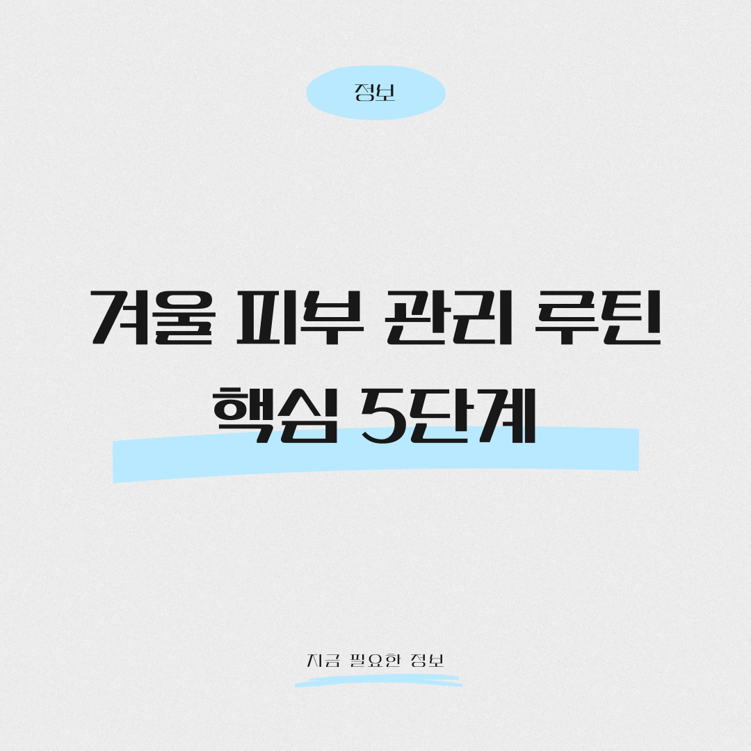 겨울 피부관리 루틴 핵심 5단계 정리