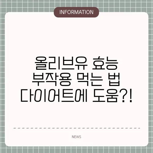 올리브유 효능 부작용 먹는 법 다이어트에 도움?!