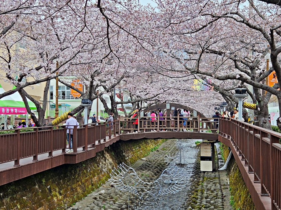 진해 군항제 벚꽃축제 서울출발 셔틀버스 예약방법 명소 기간 전국 벚꽃 명소 추천