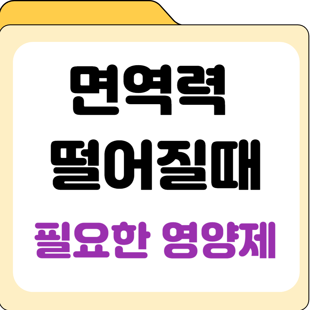 면역력 떨어질 때 먹는 영양제, 필요한 사람 유형별 가이드
