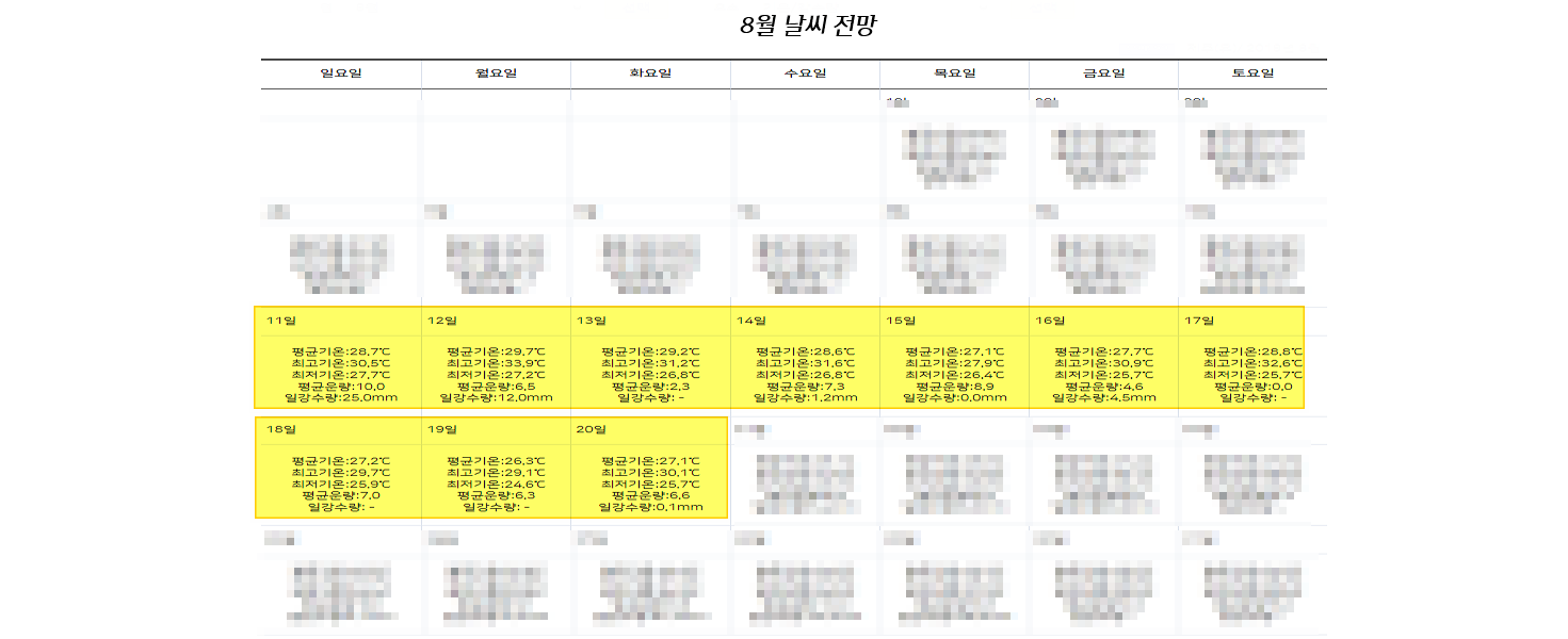 8월 중순 (11일~20일)