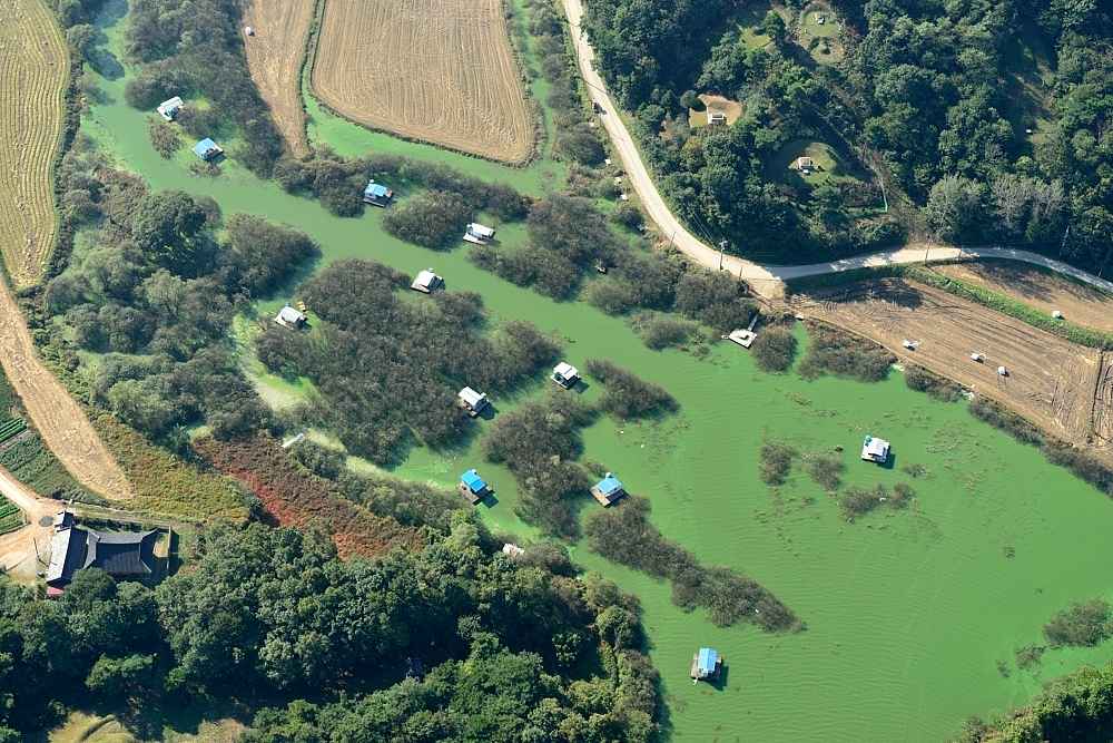 고삼호수 산책길