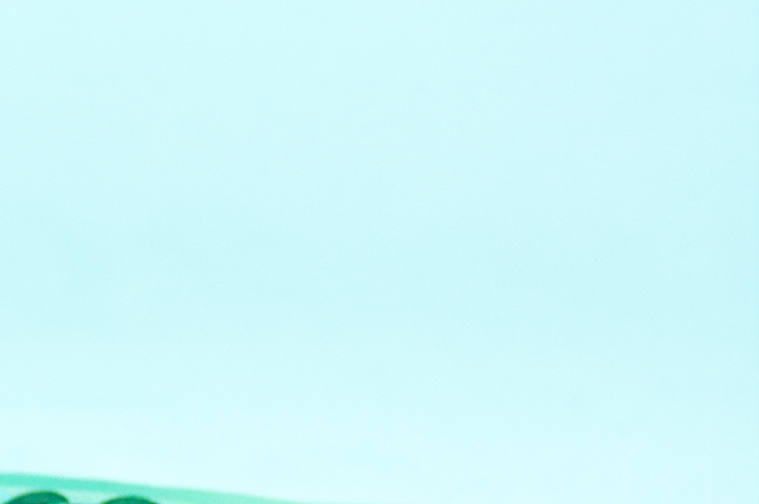 종합소득세 환급일