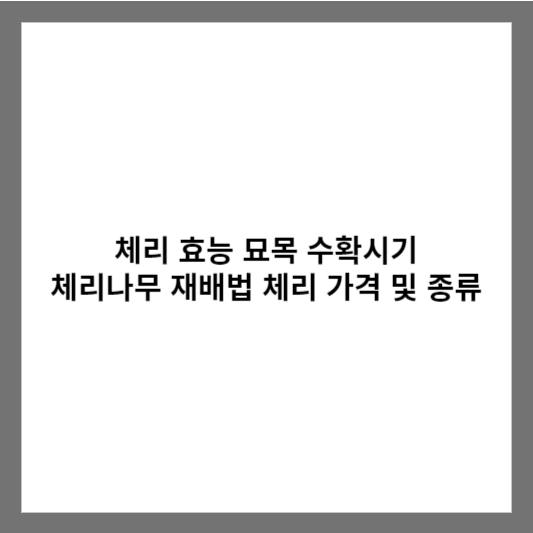 체리 효능 묘목 수확시기 체리나무 재배법 체리 가격 및 종류