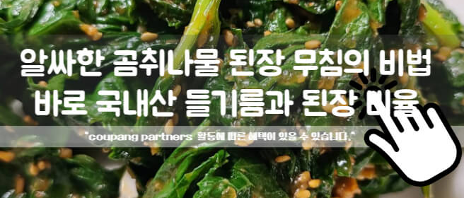 곰취나물 레시피 곰취무침 곰취 손질 곰취 데치기