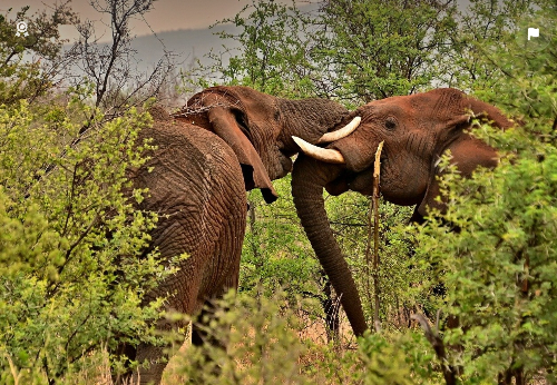 비상장주식 거래하는 방법&amp;#44; 처음부터 쉽게 알아보기