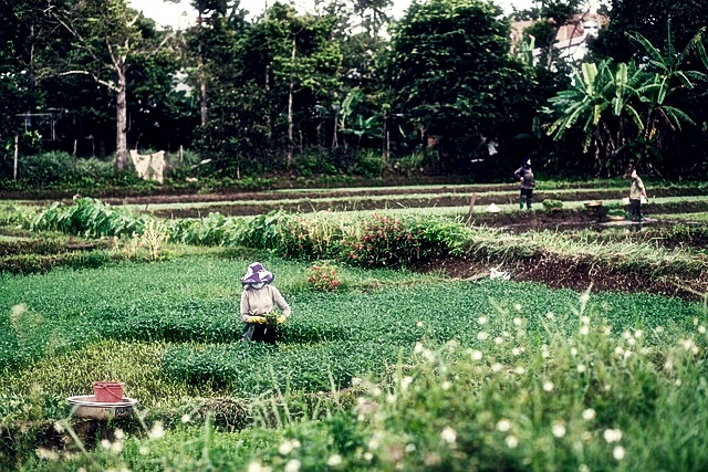 2025 공익직불금