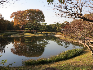 도쿄 여행 추천 고쿄 히가시교엔