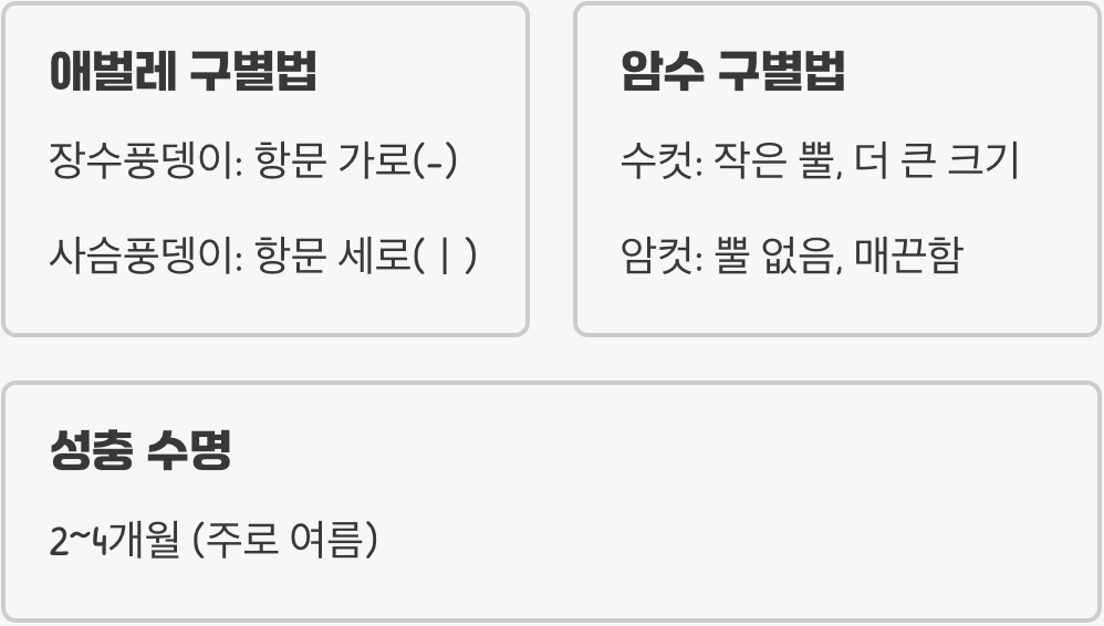 초보자가 사슴풍뎅이 키울 때 가장 많이 하는 실수 5가지