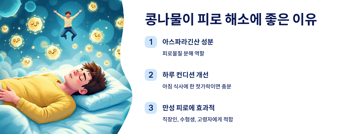 콩나물이 피로 해소에 좋은 이유