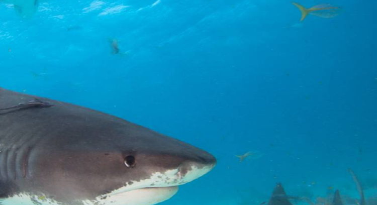 사천 아쿠아리움