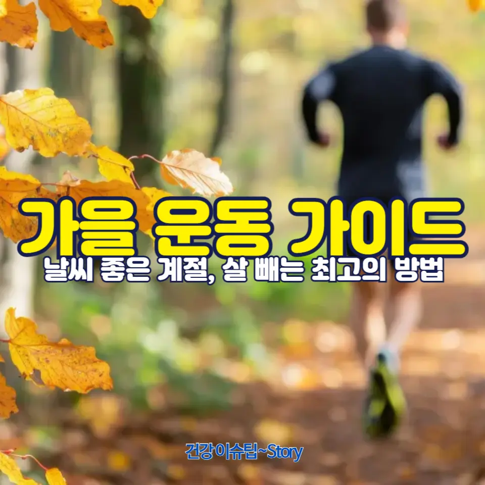 운동 초보자를 위한 가을 운동 추천