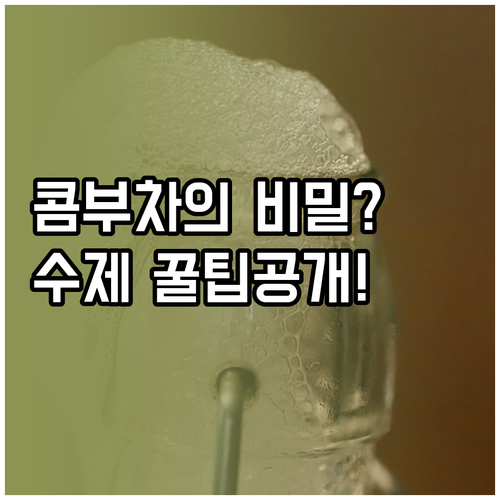 콤부차 효능과 부작용 및 수제 제작 ..