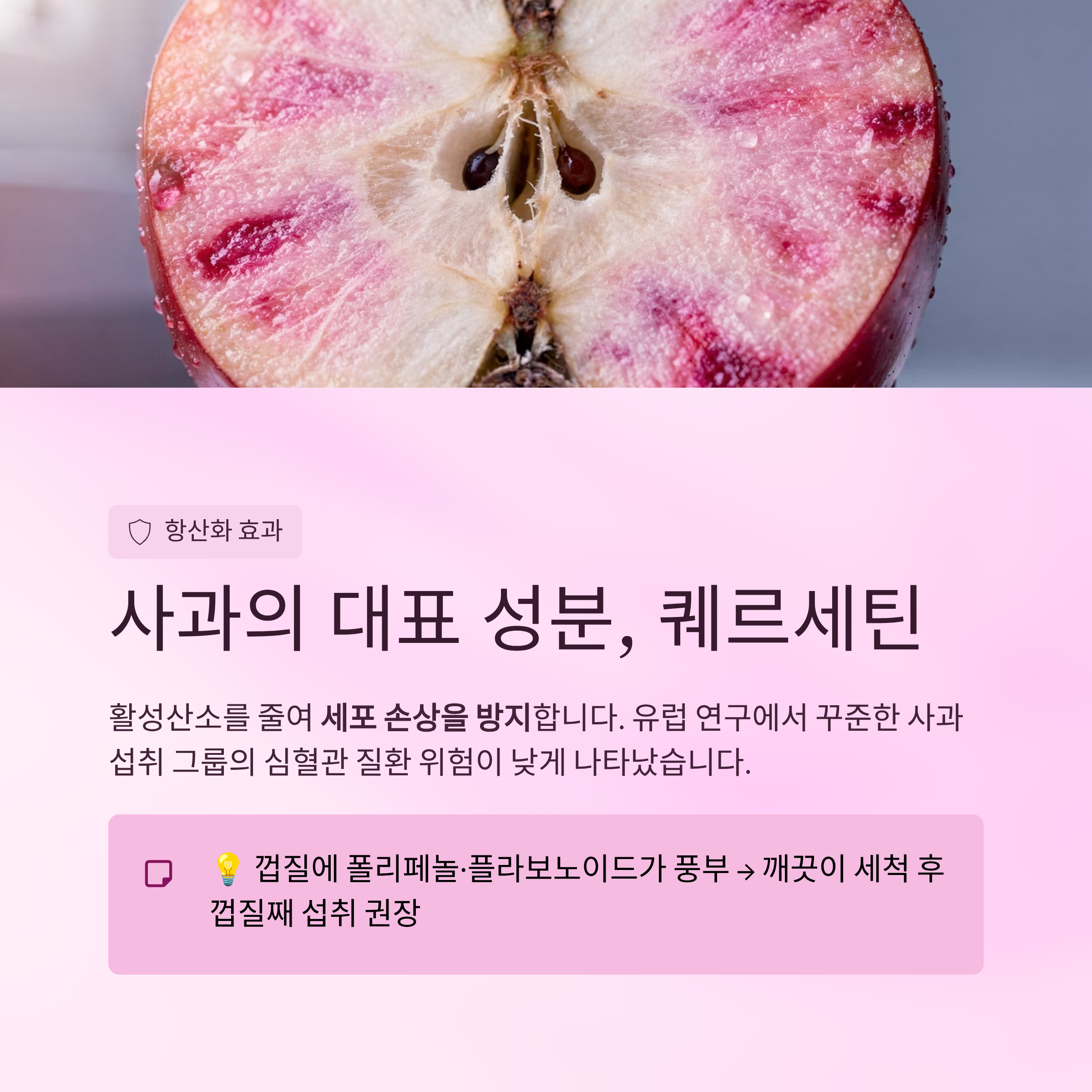 사과의 대표 성분과 항산화 효과