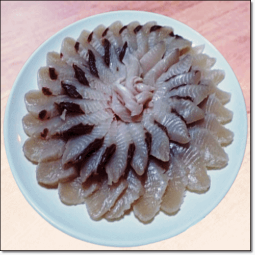 삼치회 효능
