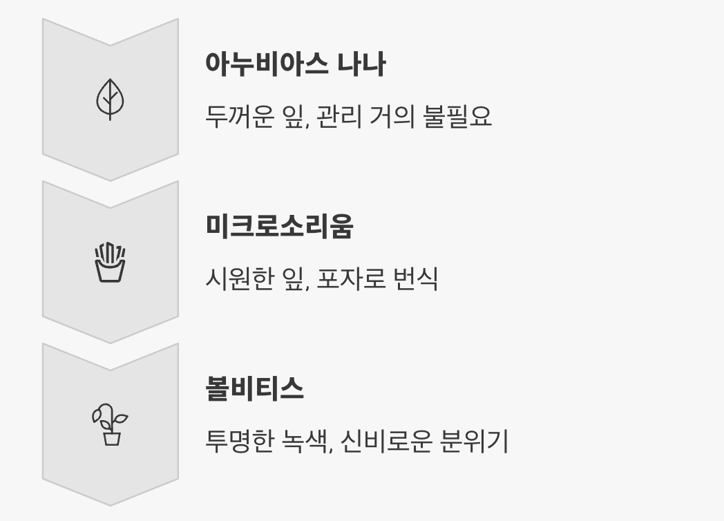 초보자를 위한 음성수초 BEST 3