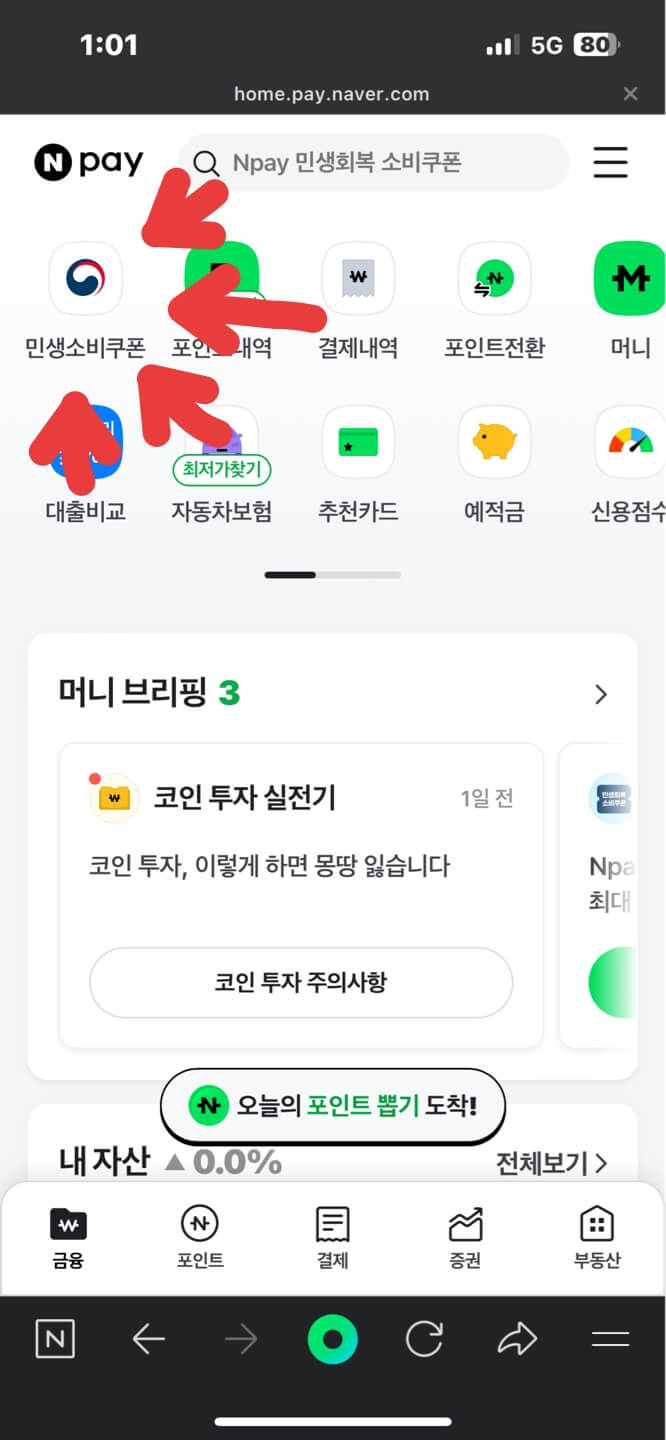 네이버페이 민생지원금