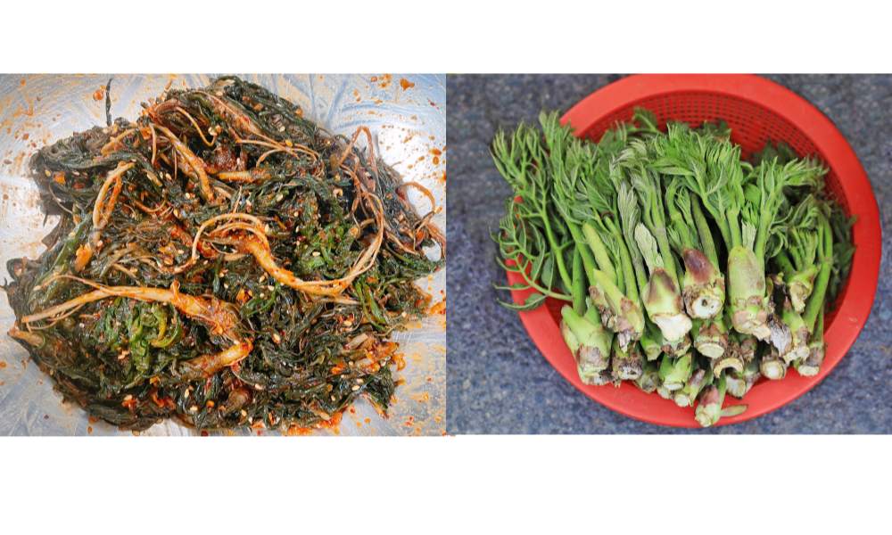 씀바귀 부침과 두릅을 손질한 모습