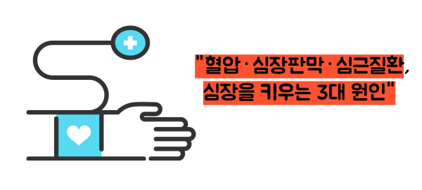 심장 비대증 원인과 치료